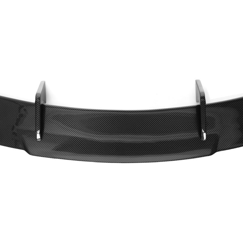 Signature Carbon Fiber GT Wing
