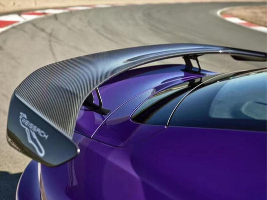 Dry Carbon Fiber W Style GT Spoiler Wing - Porsche Taycan