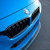 Dual Slat Front Grilles - BMW F30 3 Series