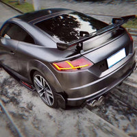 Artisan Audi TTRS Carbon Fiber Rear Diffuser/Spats 15-19
