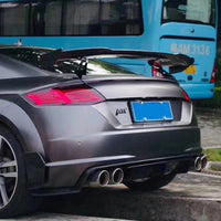 Artisan Audi TTRS Carbon Fiber Rear Diffuser/Spats 15-19