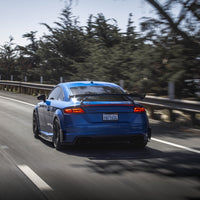 Artisan Audi TTRS Carbon Fiber Rear Diffuser/Spats 15-19